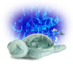 Tranquil Turtle