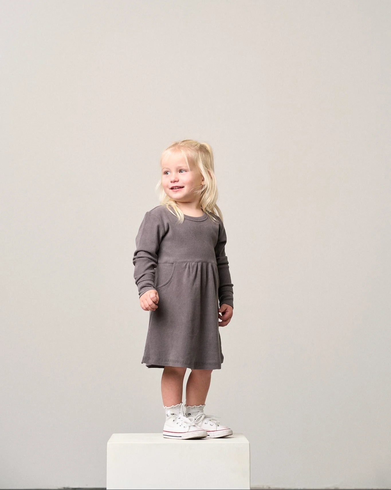 Long Sleeve Ribbed Dress - Graphite
