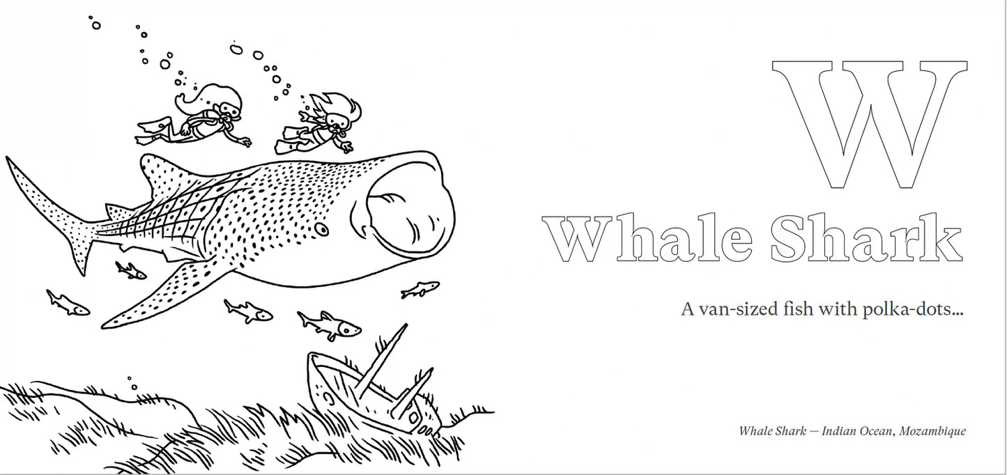 Wiilder Adventures and Animals A-Z: Coloring book