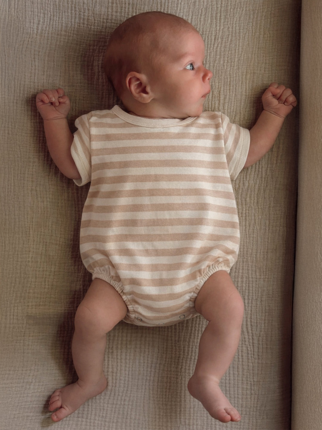 Biscuit Stripe - Organic T-Shirt Bubble