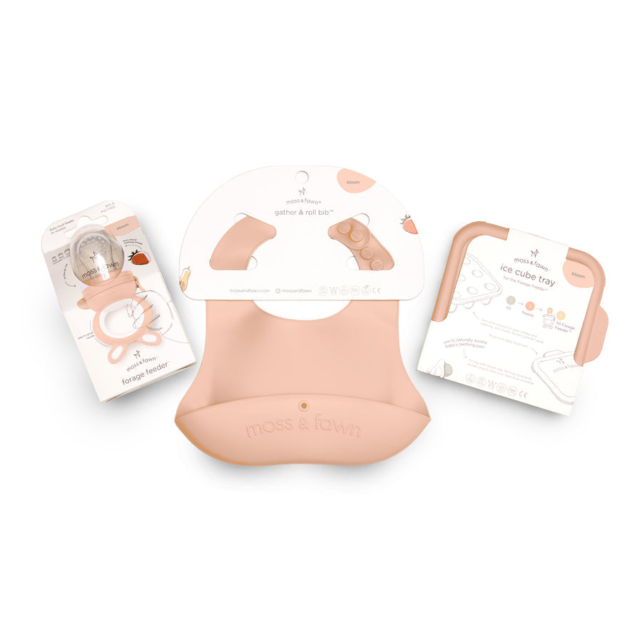 Little Explorer Kit