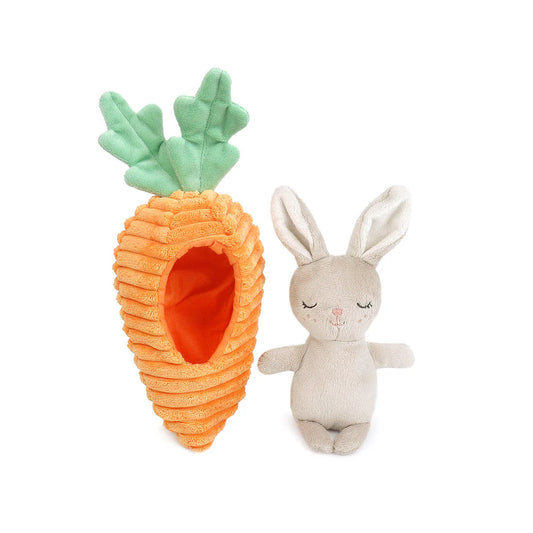 Bunny in Carrot Plush Activity Toy