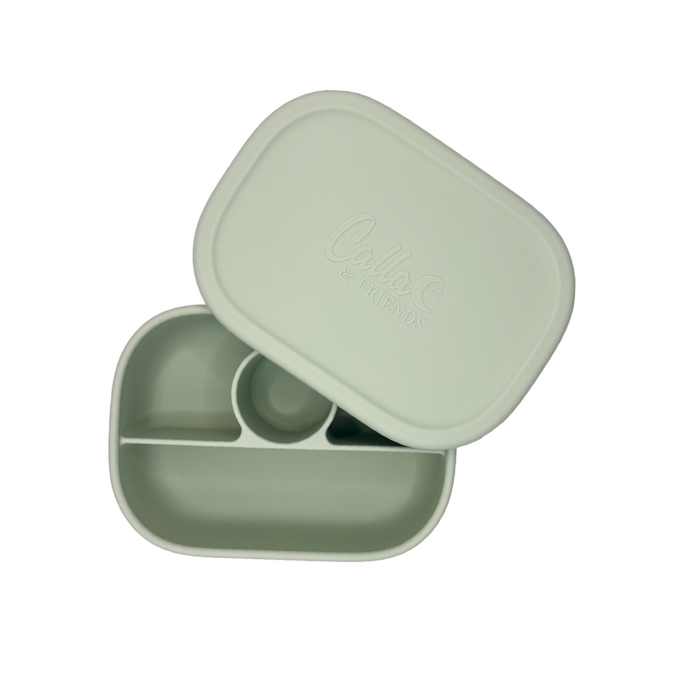 Hayden Bento Box - Solid Colors
