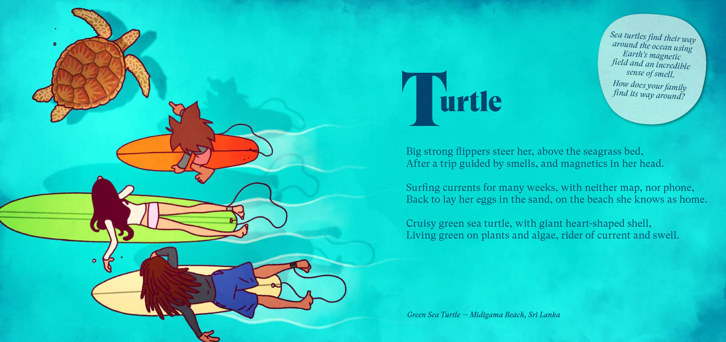 Wiilder Adventures & Animals A-Z