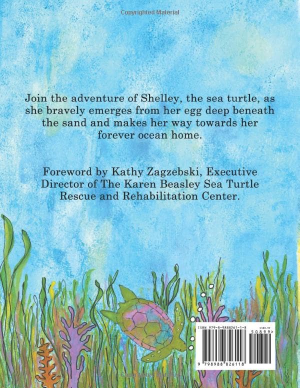 Bravery - A Baby Sea Turtle's First Adventure