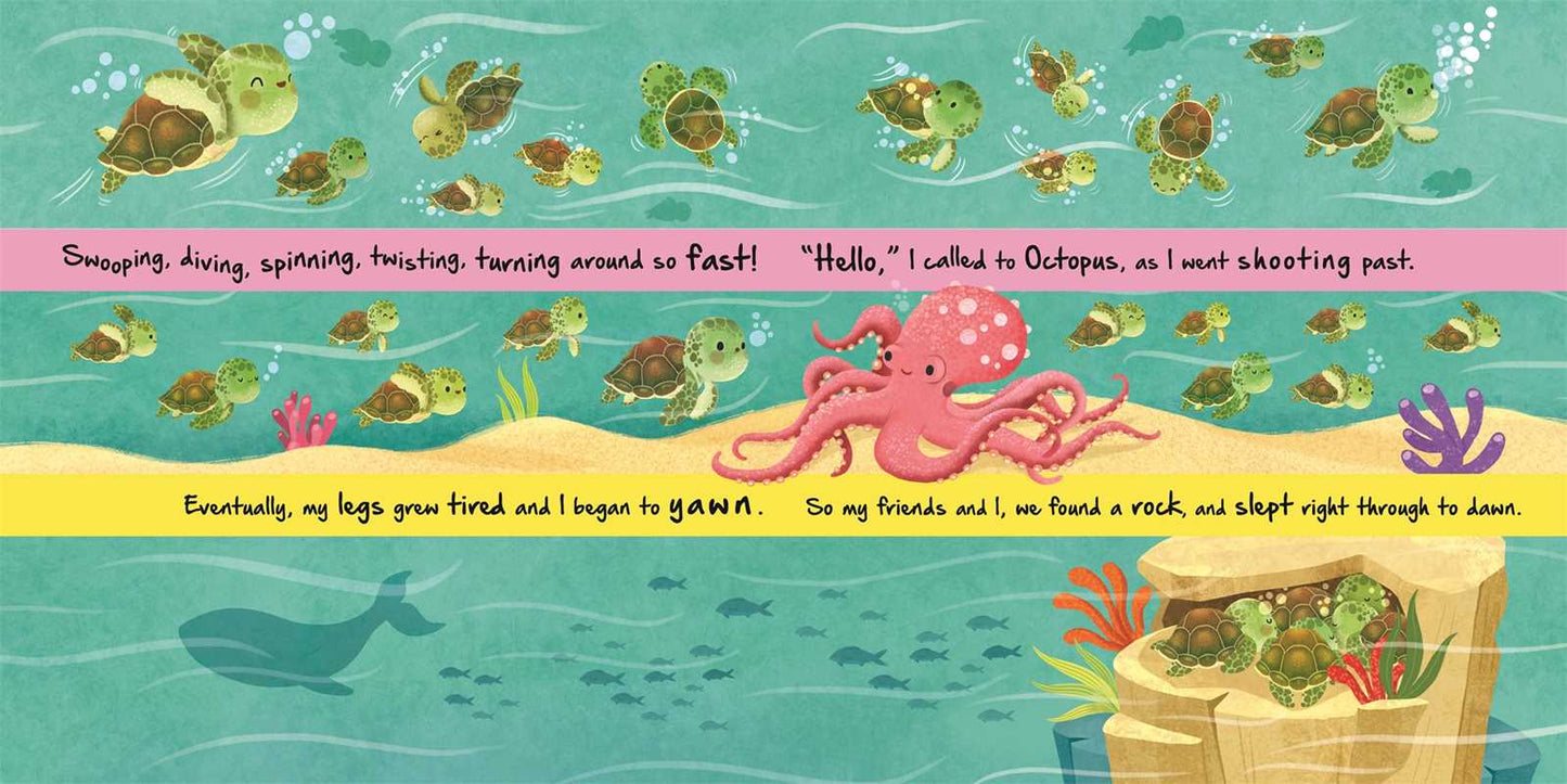 Nature Stories: Little Turtle Book