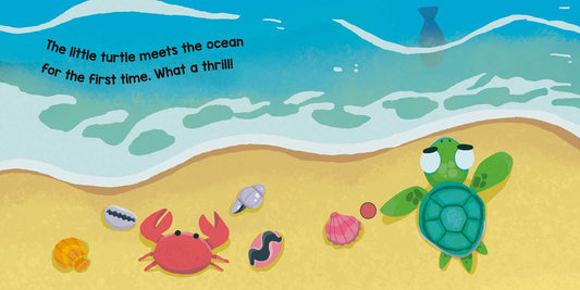 Ocean's White Noise Board Book