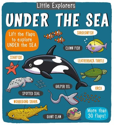 Little Explorer Under the Sea Book