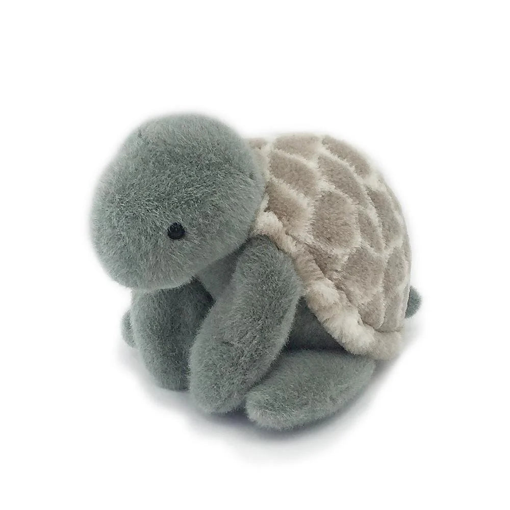 Taylor Turtle