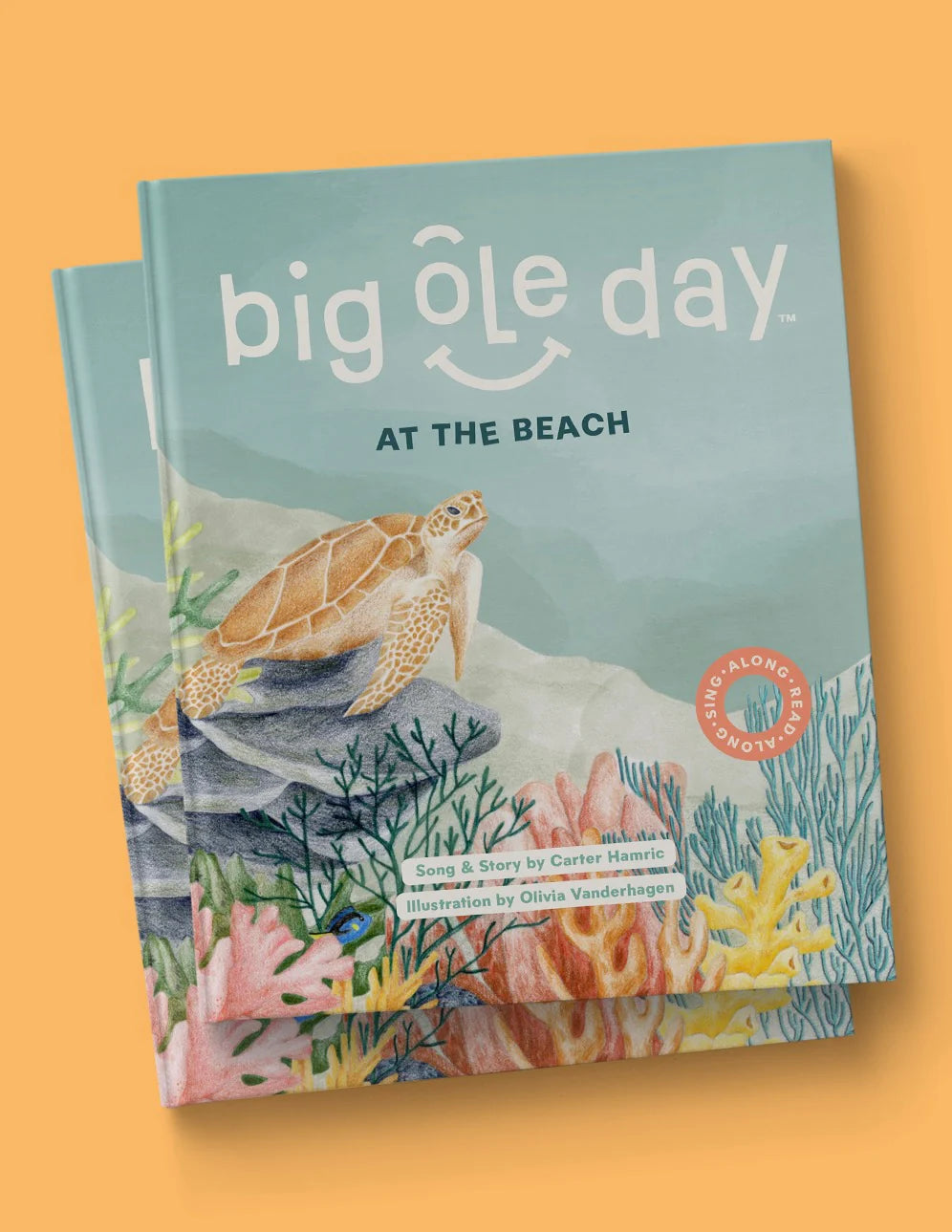 Big Ole Day at the Beach Singalong Musical Interactive Book