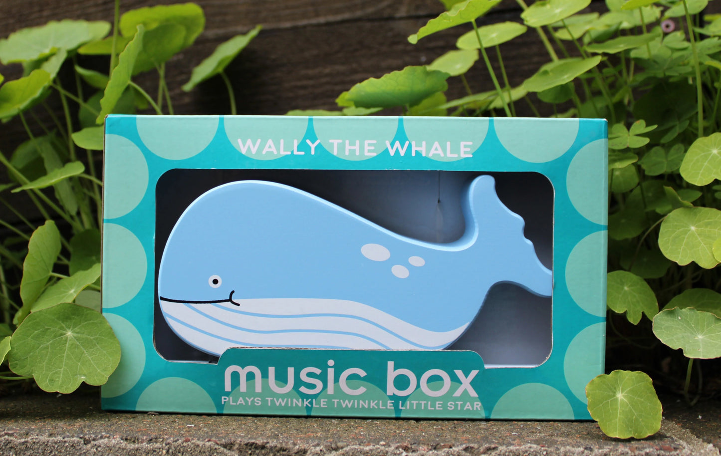 Wooden Whale Music Box