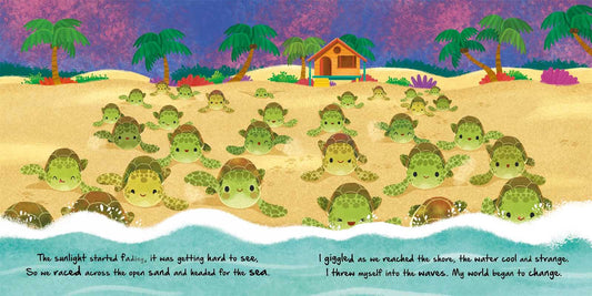 Nature Stories: Little Turtle Book
