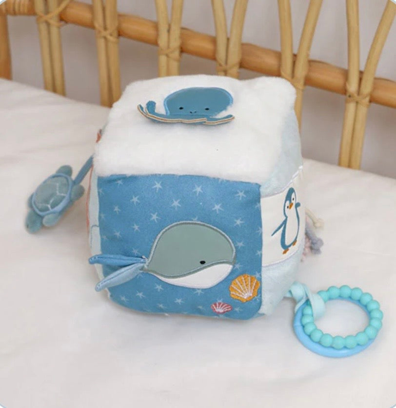 Ocean Activity Cube
