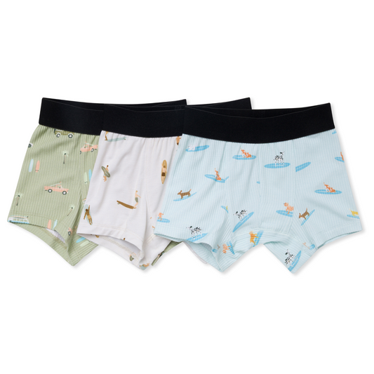 Boxer Brief 3-Pack Surfer Dudes Multi