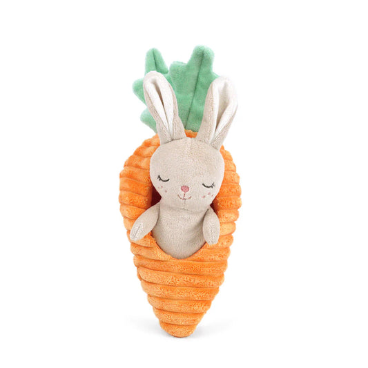 Bunny in Carrot Plush Activity Toy