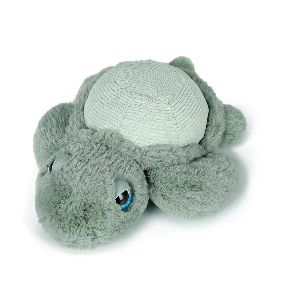 Little Tyler Turtle
