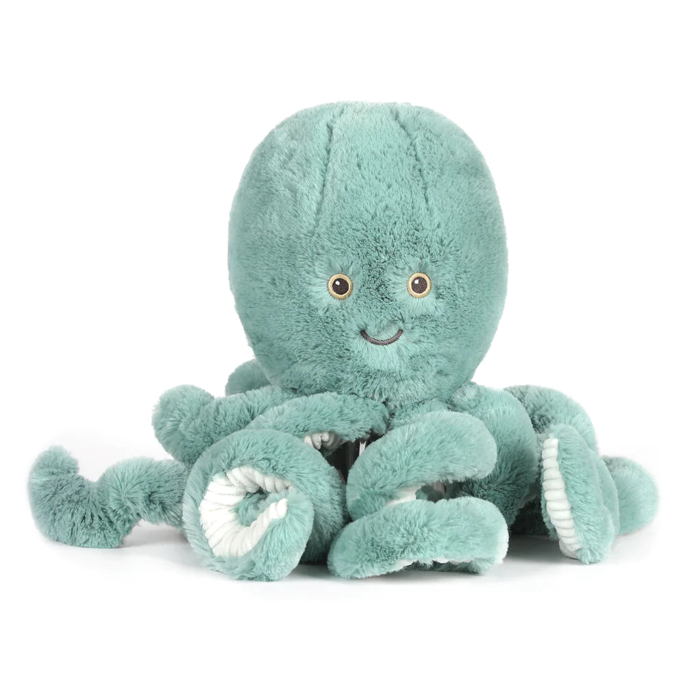 Reef Octopus