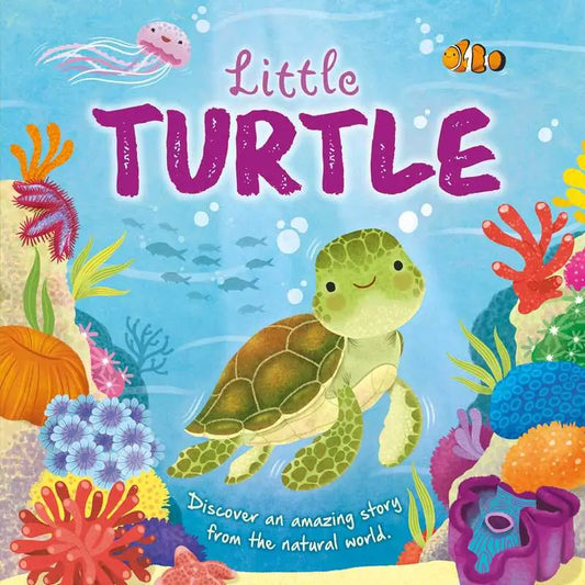 Nature Stories: Little Turtle Book